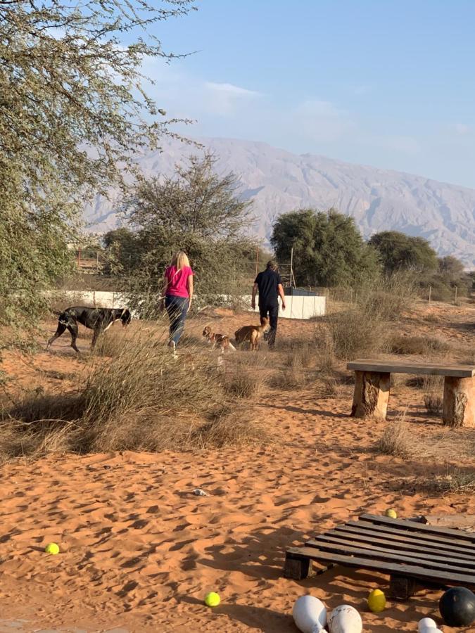 فندق رأس الخيمةفي  Rak Glamping المظهر الخارجي الصورة