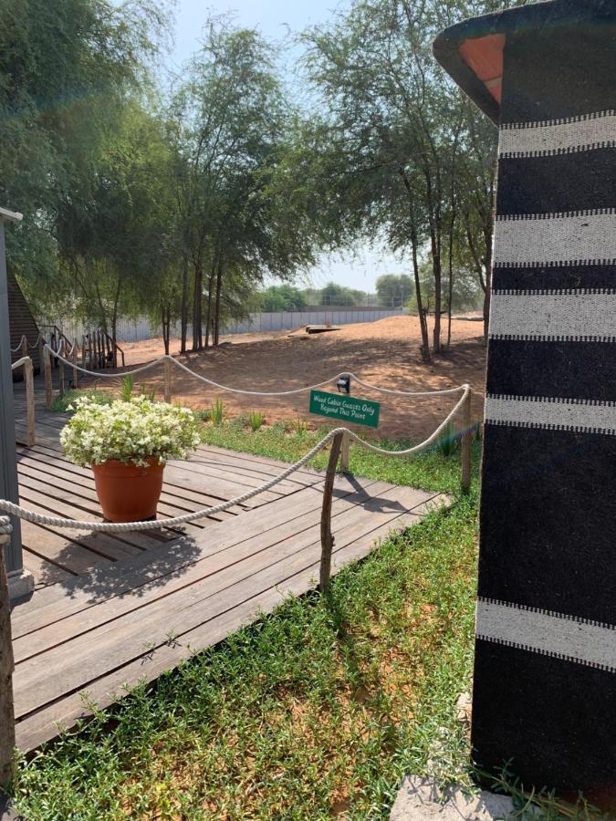 فندق رأس الخيمةفي  Rak Glamping المظهر الخارجي الصورة