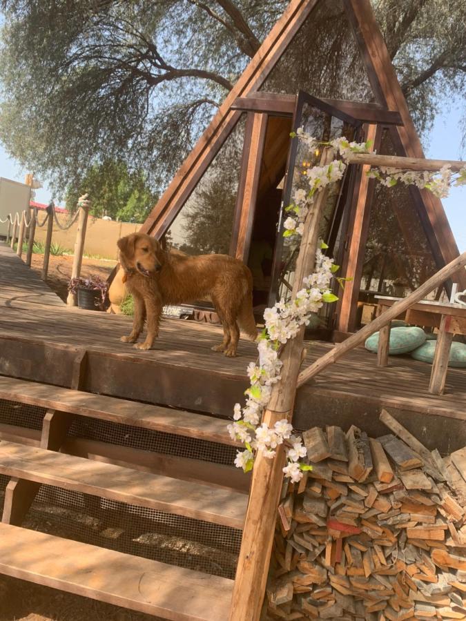 فندق رأس الخيمةفي  Rak Glamping المظهر الخارجي الصورة